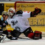 Bayreuth Tigers Eishockey - DEL2